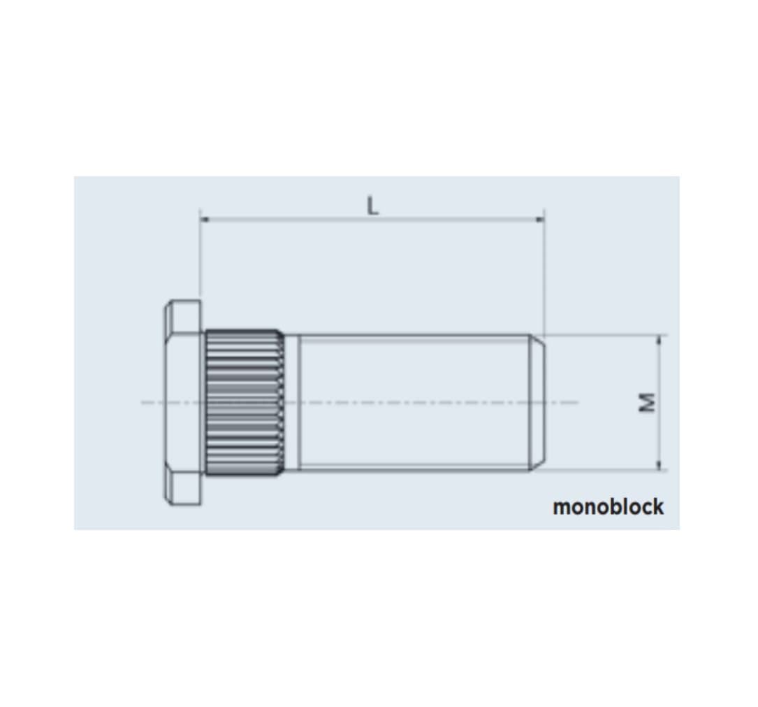 Espárrago tipo monoblock - Imagen 2